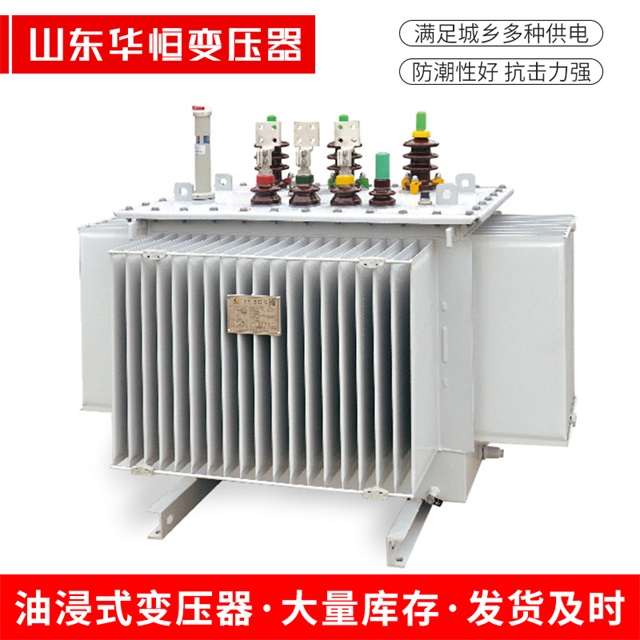 S13-10000/35来宾来宾来宾电力变压器